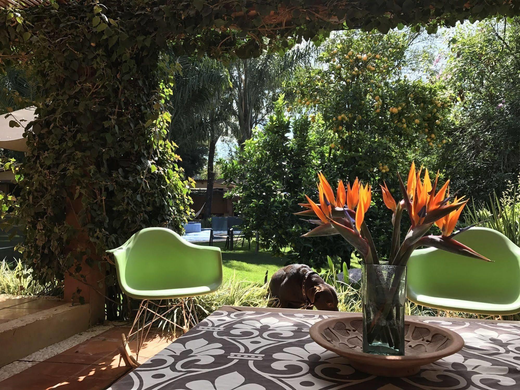 La Joya Del Viento Bed & Breakfast Valle de Bravo Exterior foto